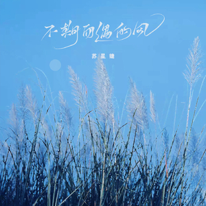 美女光着下体扒开内裤
